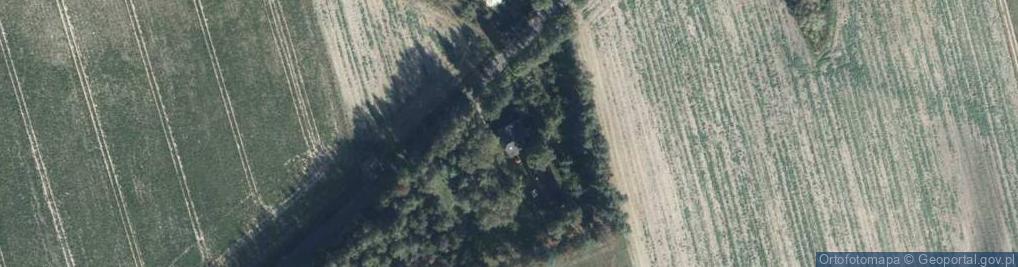 Zdjęcie satelitarne Skrzetuszewo ul.