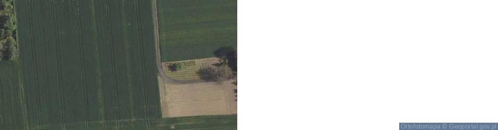 Zdjęcie satelitarne Skrzynice Drugie ul.