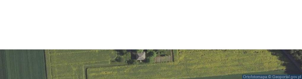 Zdjęcie satelitarne Skrzynice Drugie ul.