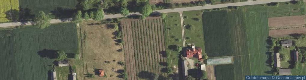 Zdjęcie satelitarne Skrzynice Pierwsze ul.