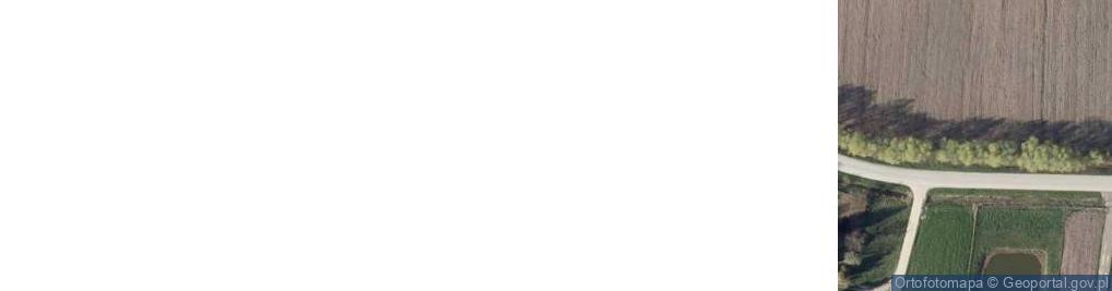 Zdjęcie satelitarne Skrzynka ul.