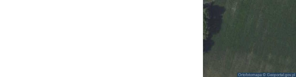 Zdjęcie satelitarne Skrzynki ul.