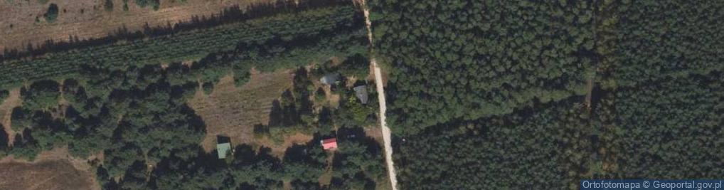 Zdjęcie satelitarne Skrzynki ul.