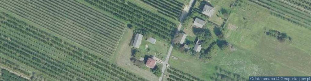 Zdjęcie satelitarne Skrzypaczowice ul.