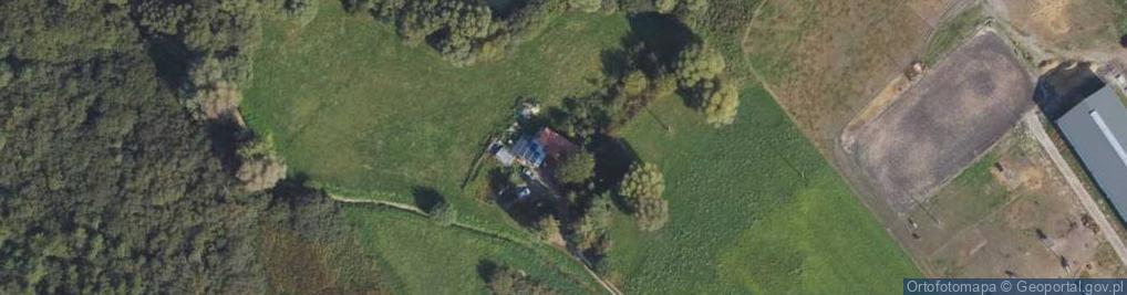 Zdjęcie satelitarne Skrzypkowo ul.