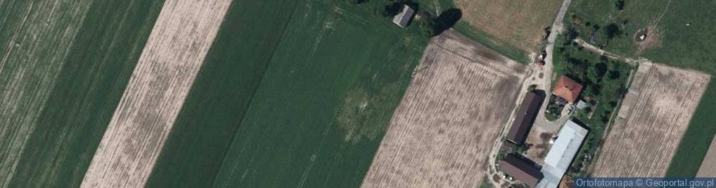 Zdjęcie satelitarne Skrzyszew ul.