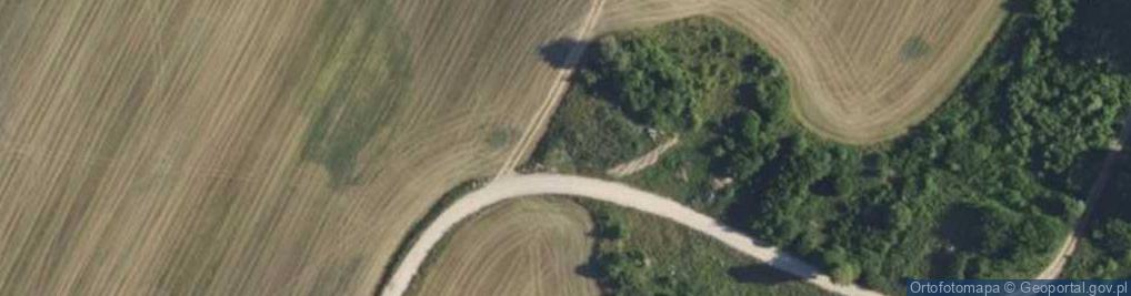 Zdjęcie satelitarne Skup ul.