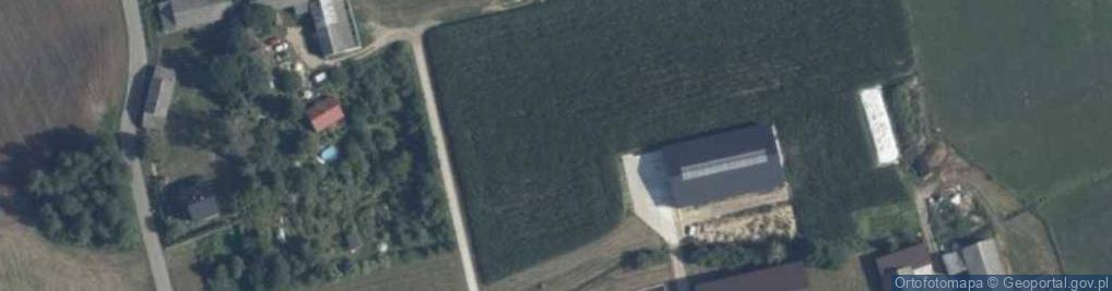 Zdjęcie satelitarne Skupie ul.