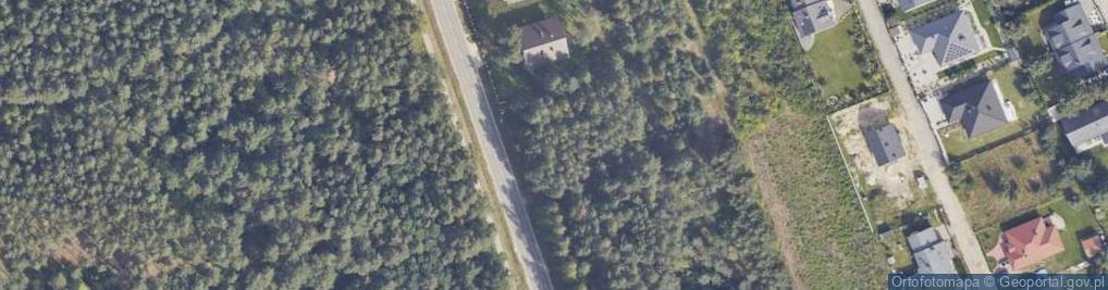 Zdjęcie satelitarne Skaryszewska ul.