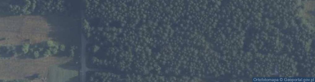 Zdjęcie satelitarne Skowronka ul.