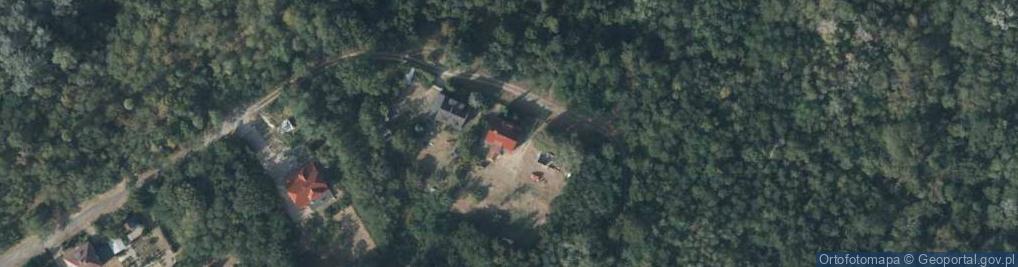 Zdjęcie satelitarne Skierniewicka ul.