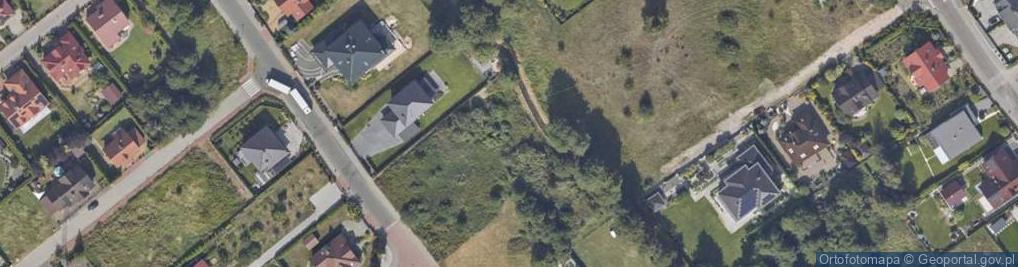 Zdjęcie satelitarne Skierniewicka ul.