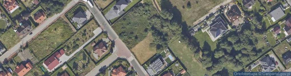 Zdjęcie satelitarne Skierniewicka ul.