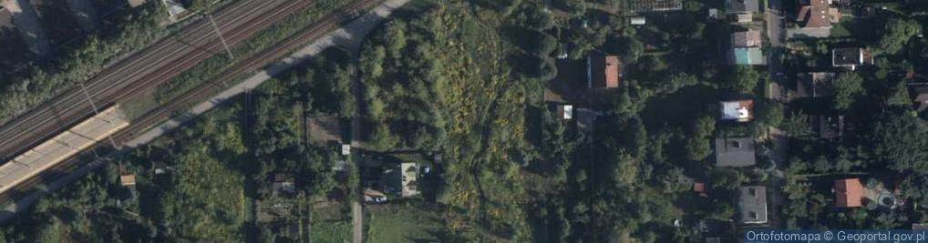 Zdjęcie satelitarne Skoroszytu ul.