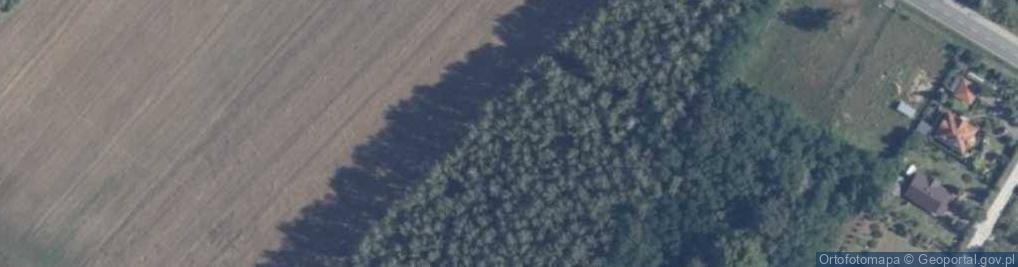 Zdjęcie satelitarne Słoneczna ul.