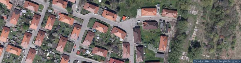 Zdjęcie satelitarne Słoniny Antoniego ul.