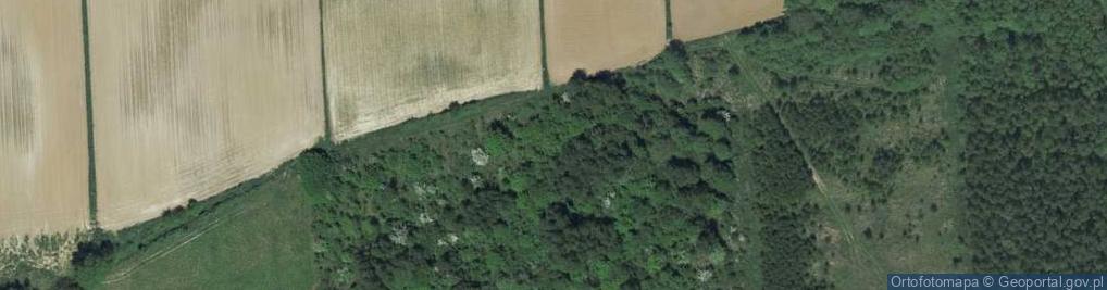 Zdjęcie satelitarne Słoneczna ul.