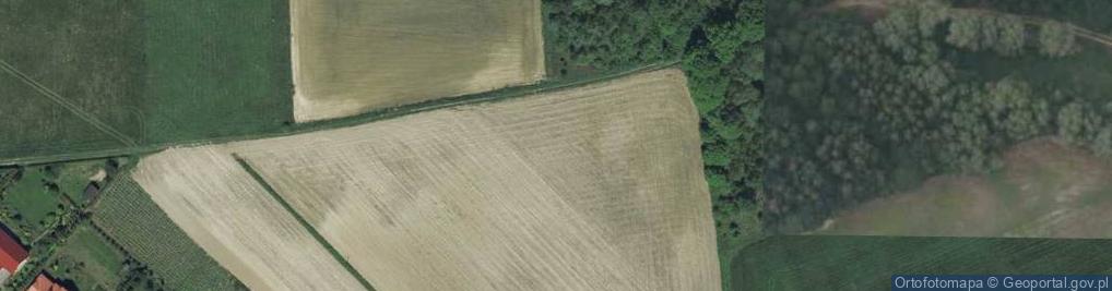 Zdjęcie satelitarne Słoneczna ul.