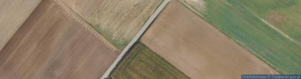 Zdjęcie satelitarne Śliwkowa ul.