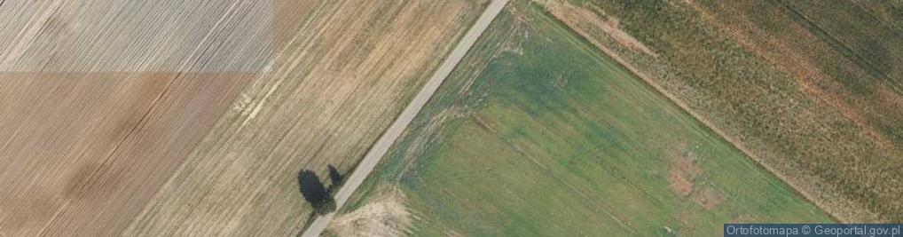 Zdjęcie satelitarne Śliwkowa ul.