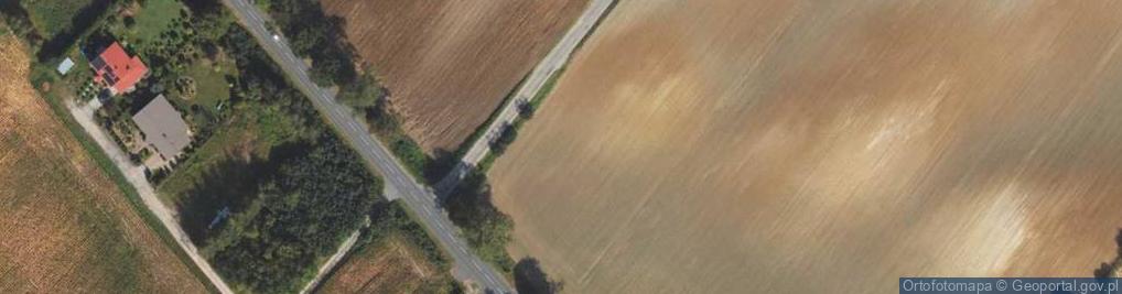Zdjęcie satelitarne Śliwkowa ul.