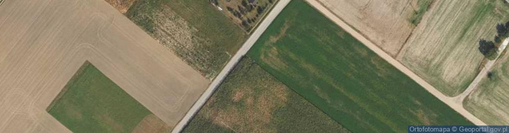 Zdjęcie satelitarne Śliwkowa ul.