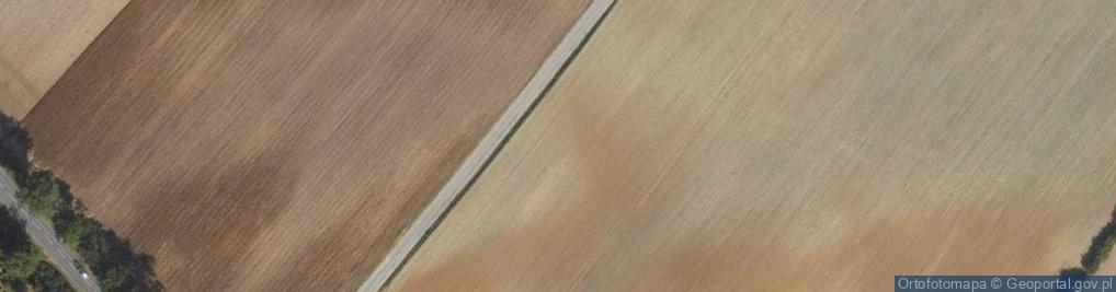 Zdjęcie satelitarne Śliwkowa ul.