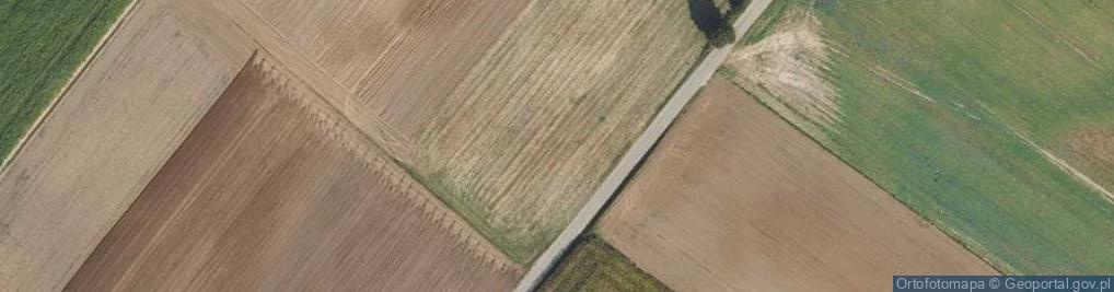 Zdjęcie satelitarne Śliwkowa ul.