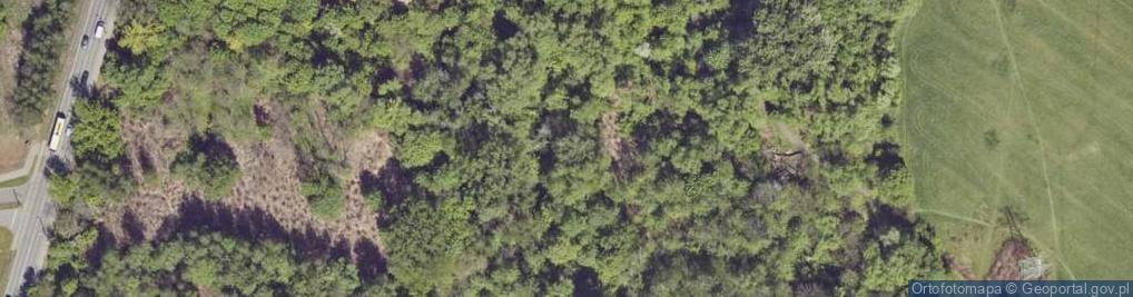 Zdjęcie satelitarne Śląska ul.