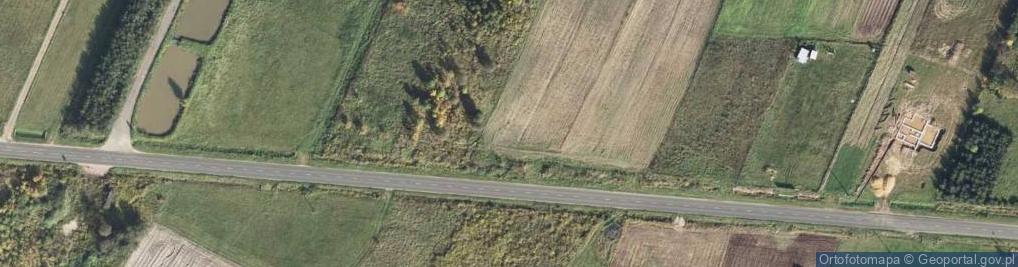 Zdjęcie satelitarne Śląska ul.