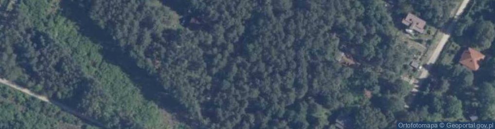 Zdjęcie satelitarne Smutna ul.