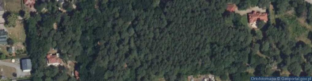 Zdjęcie satelitarne Sosnowa ul.