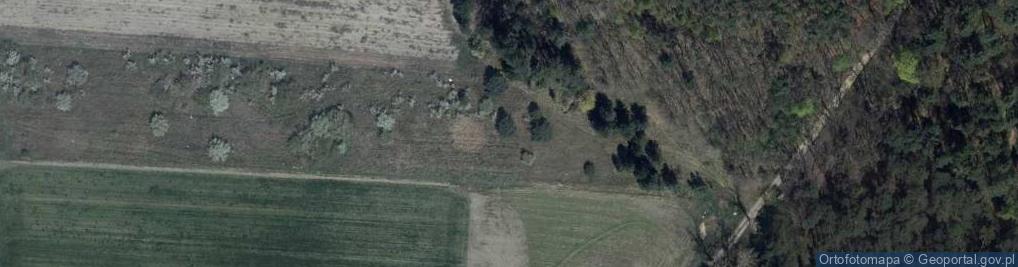 Zdjęcie satelitarne Sosnowa ul.