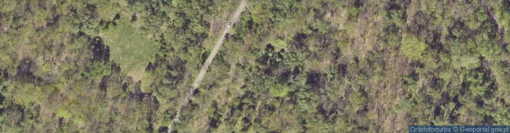 Zdjęcie satelitarne Sosnowa ul.