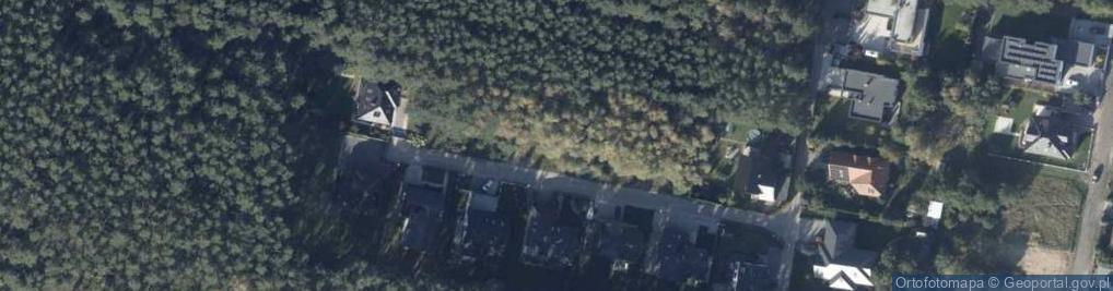 Zdjęcie satelitarne Sosnowa ul.