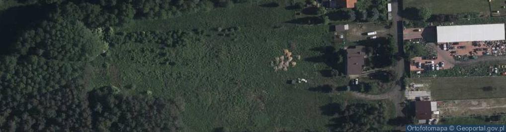Zdjęcie satelitarne Sosnowa ul.