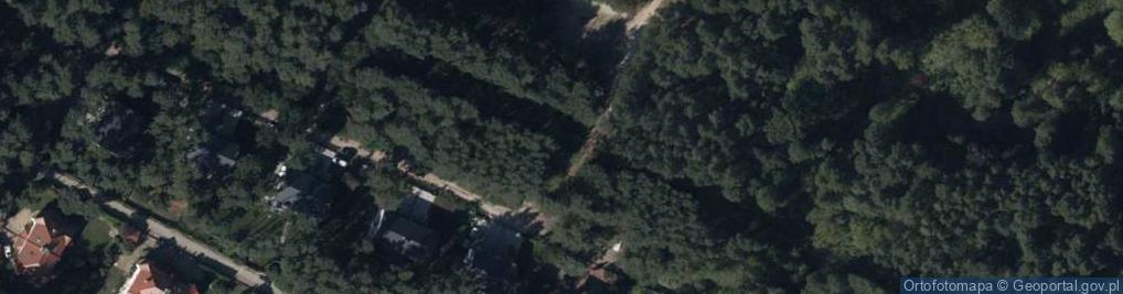 Zdjęcie satelitarne Sosnowa ul.