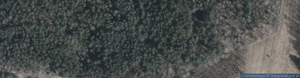 Zdjęcie satelitarne Sosnowa ul.