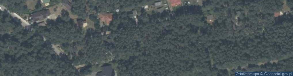 Zdjęcie satelitarne Sosnowa ul.