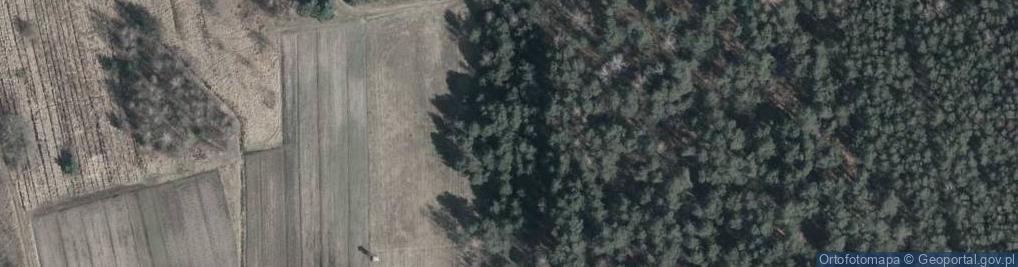 Zdjęcie satelitarne Sosnowa ul.