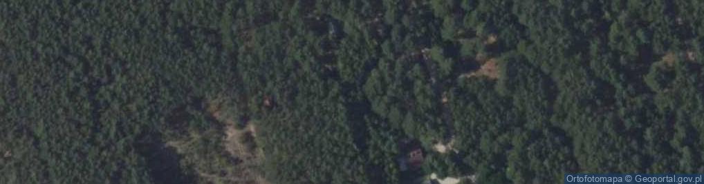 Zdjęcie satelitarne Sosnowa ul.