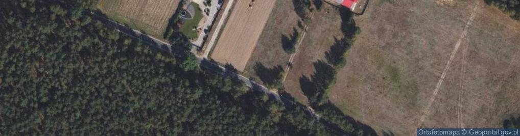 Zdjęcie satelitarne Sosnowa ul.