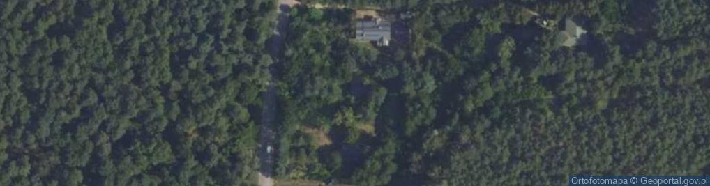 Zdjęcie satelitarne Sosnowa ul.