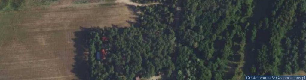 Zdjęcie satelitarne Sosnowa ul.