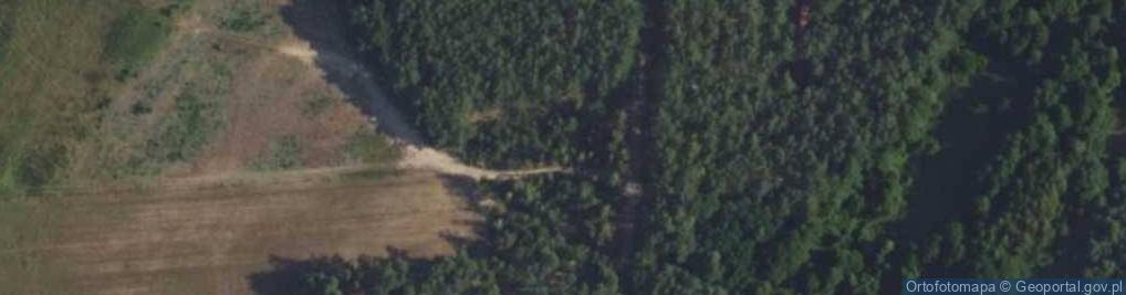 Zdjęcie satelitarne Sosnowa ul.