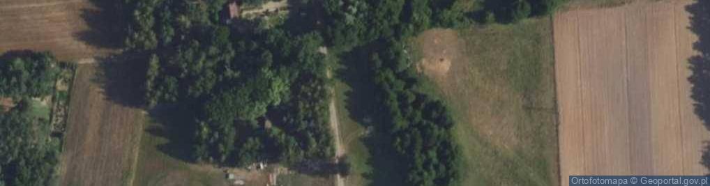 Zdjęcie satelitarne Sosnowa ul.