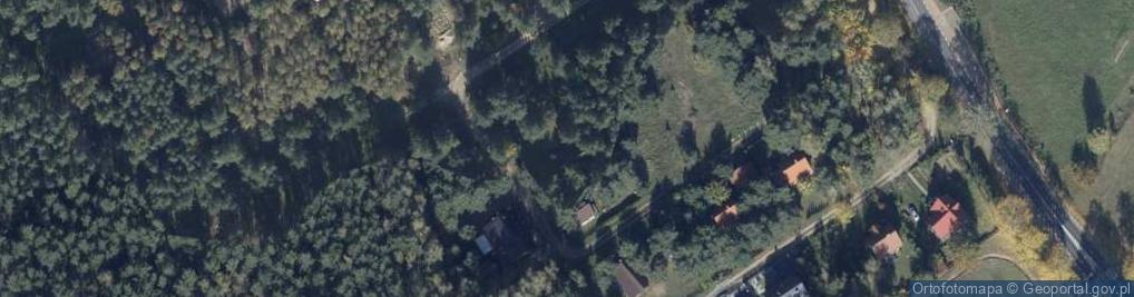 Zdjęcie satelitarne Sosnowa ul.