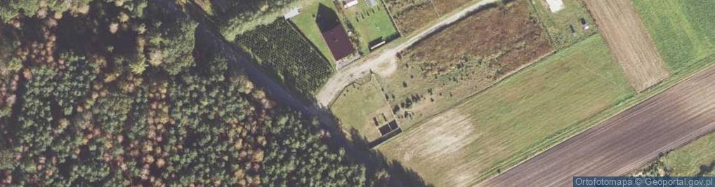 Zdjęcie satelitarne Sosnowa ul.