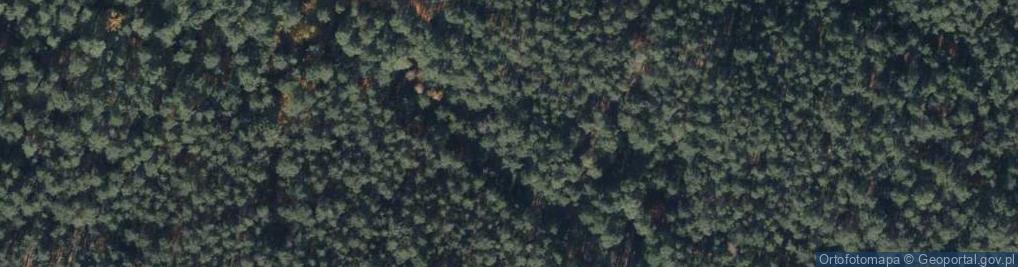 Zdjęcie satelitarne Sosnowa ul.