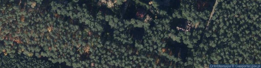 Zdjęcie satelitarne Sosnowa ul.